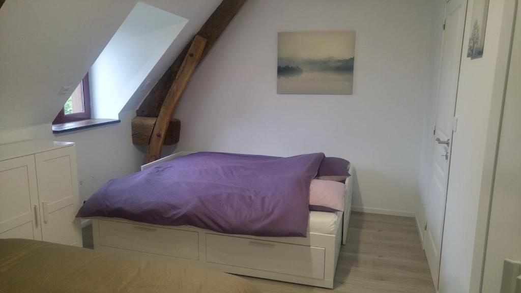 L'Angeberdiere Saint-Mars-sur-la-Futaie ภายนอก รูปภาพ