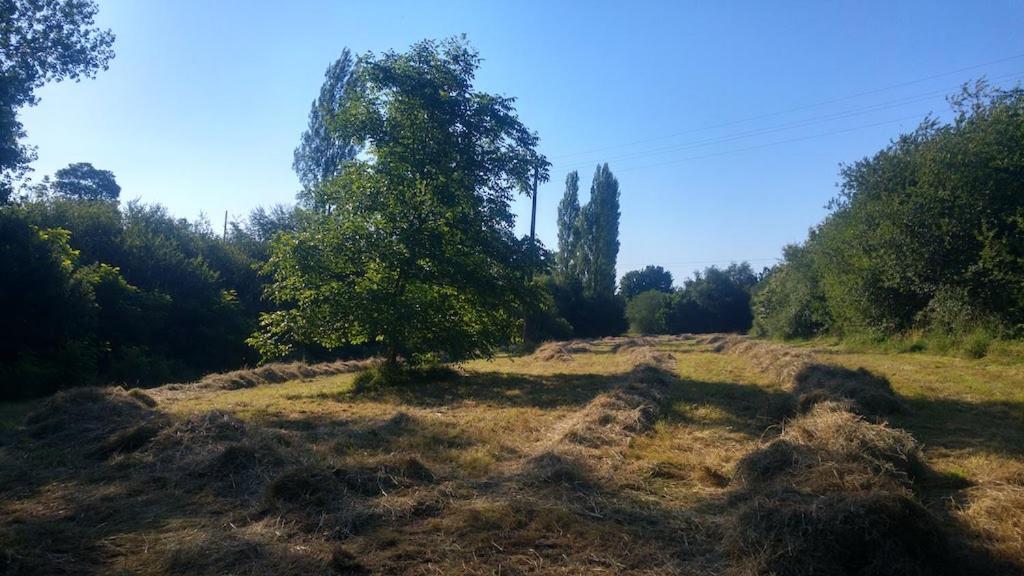 L'Angeberdiere Saint-Mars-sur-la-Futaie ภายนอก รูปภาพ