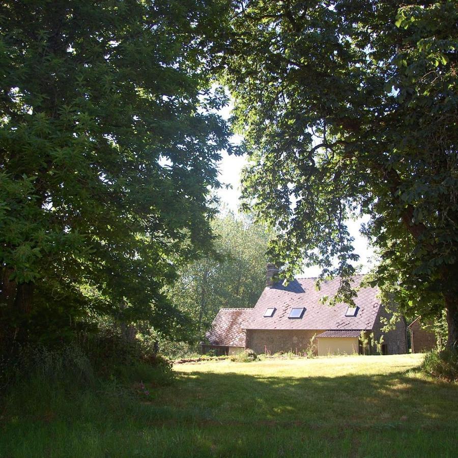 L'Angeberdiere Saint-Mars-sur-la-Futaie ภายนอก รูปภาพ