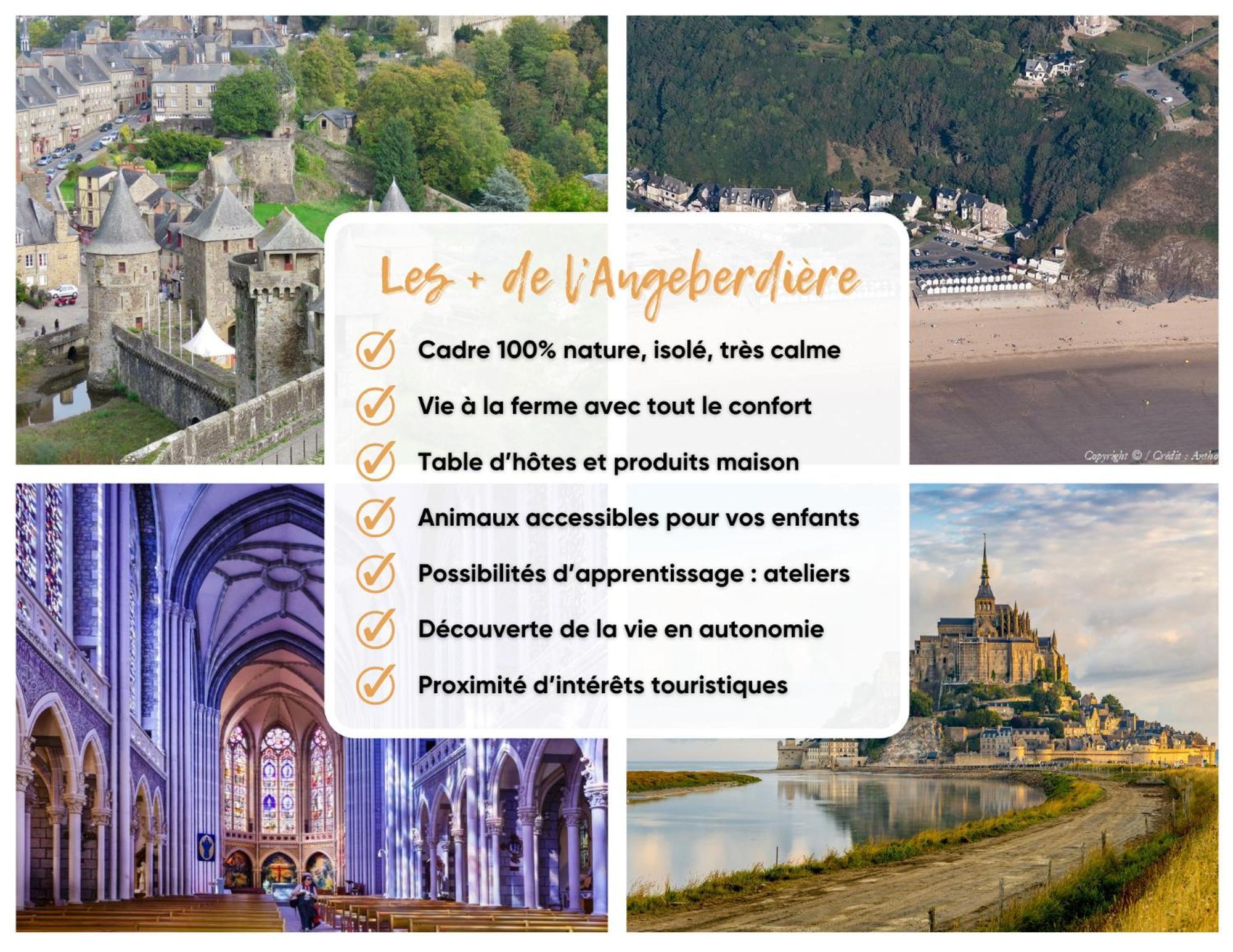 L'Angeberdiere Saint-Mars-sur-la-Futaie ภายนอก รูปภาพ
